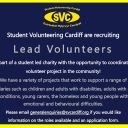 SVC are recruiting for lead volunteers!